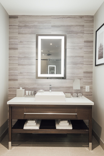 Bathroom 5, Entourage sur-le-Lac, La Jacques-Cartier
