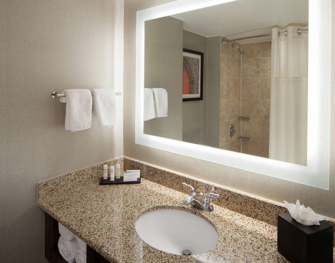 Bathroom 5, Embassy Suites by Hilton Philadelphia Airport, Philadelphia