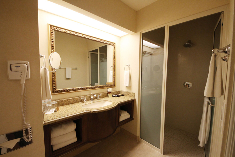 Bathroom 5, Safi Royal Luxury Centro, Monterrey