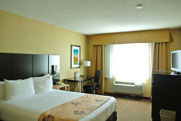 Bedroom 3, Best Western Seattle Airport Hotel, SeaTac