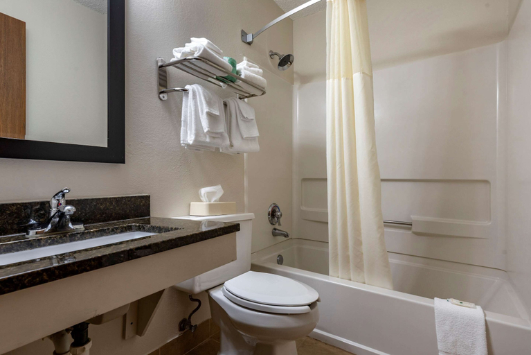 Bathroom 5, Quality Inn & Suites, Warren