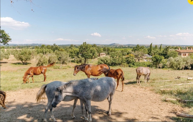 Others 5, Agriturismo Il Cavone, Grosseto