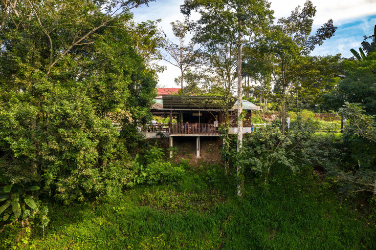 Exterior & Views 2, Eden Organic Farm & Bungalows, San Carlos