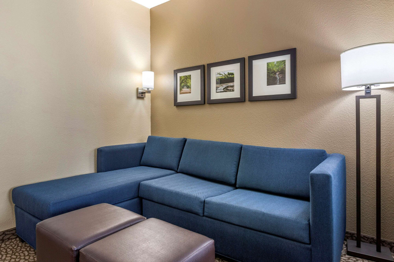 Others 5, Comfort Suites Florence I-95, Florence