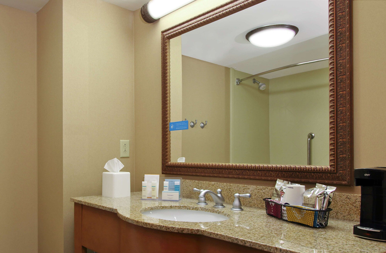 Bathroom 4, Hampton Inn & Suites Murray, Calloway