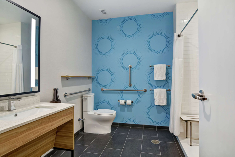 Bathroom 4, Tru by Hilton Middletown, Orange