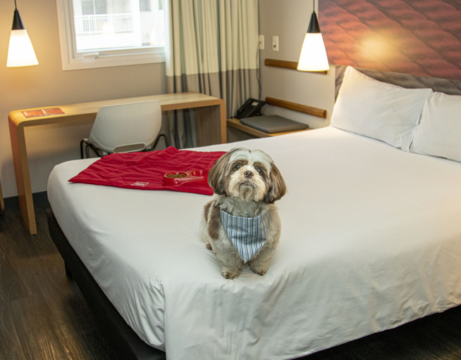 Bedroom 4, ibis Sao Paulo Tatuape, São Paulo