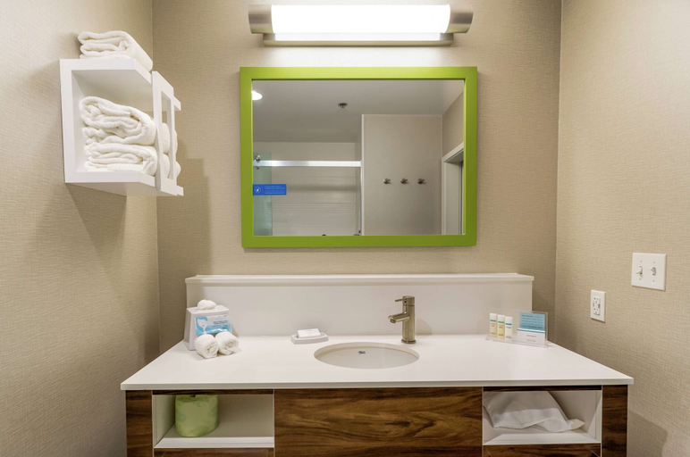 Bathroom 4, Hampton Inn Madison, Lake