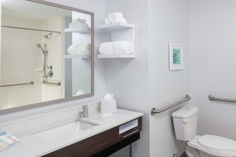 Bathroom 4, Hampton Inn Dunedin, Pinellas