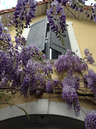 Exterior & Views 2, Chambre d'Hôtes La Villa Molina, Doubs