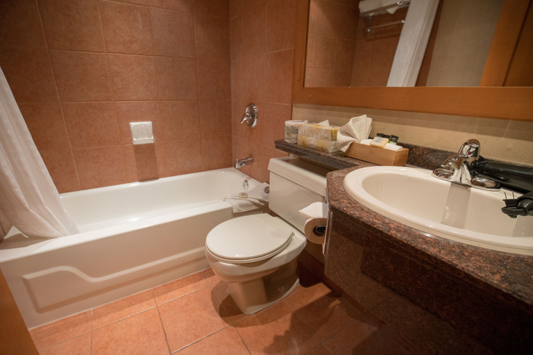 Bathroom 4, Hidden Ridge Condo Resort, Division No. 15