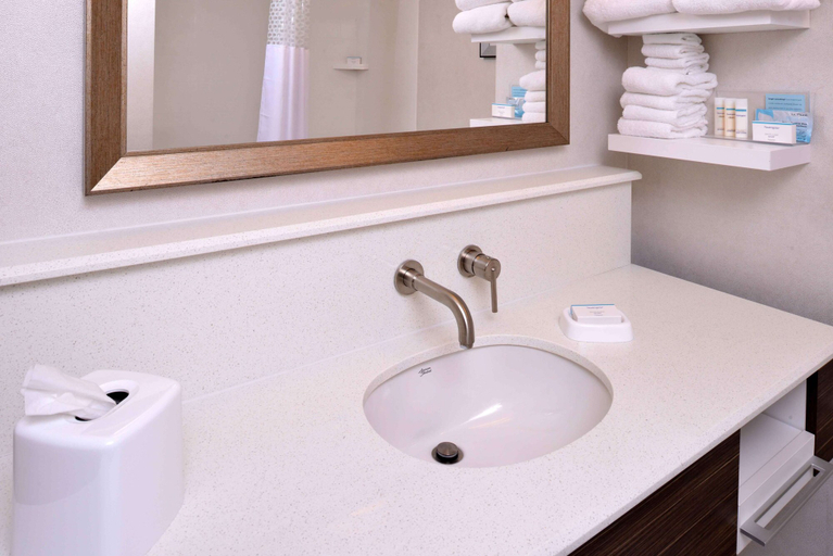 Bathroom 4, Hampton Inn & Suites Albany-East Greenbush, Rensselaer