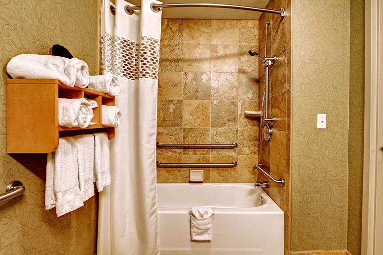 Bathroom 4, Hampton Inn & Suites Nashville-Vanderbilt-Elliston Place, Davidson