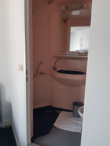 Bathroom 4, Hotel de La Croix de Malte, Manche