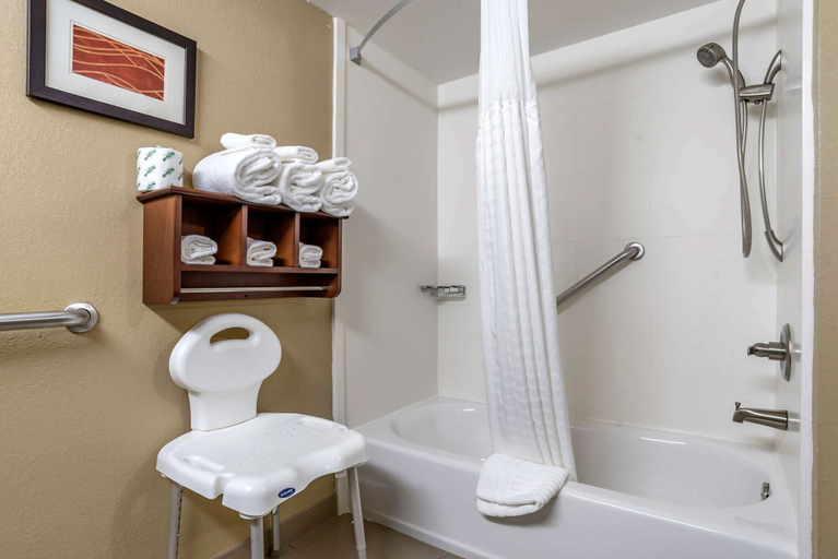 Bathroom 4, Comfort Inn & Suites Leeds I-20, Saint Clair