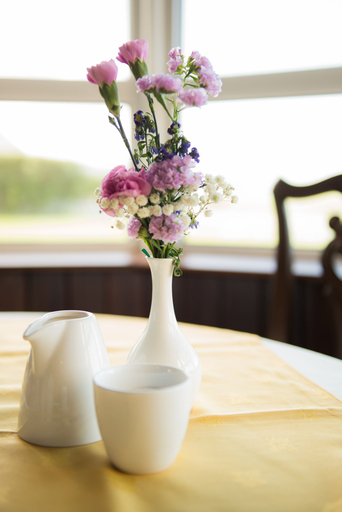Food & Drinks 4, Aran View Country House