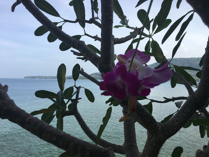 Others 5, Ma Maison Phuket, Phuket Island