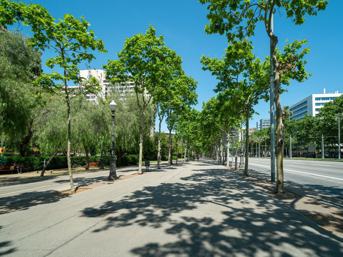 Others 4, Limehome Barcelona Carrer de Fontcoberta, Barcelona