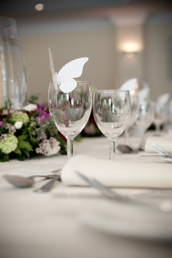 Food & Drinks 5, Plas Hyfryd Hotel, Pembrokeshire