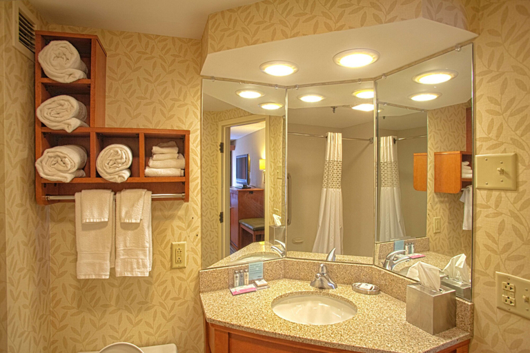 Bathroom 4, Hampton Inn Wheeling, Ohio