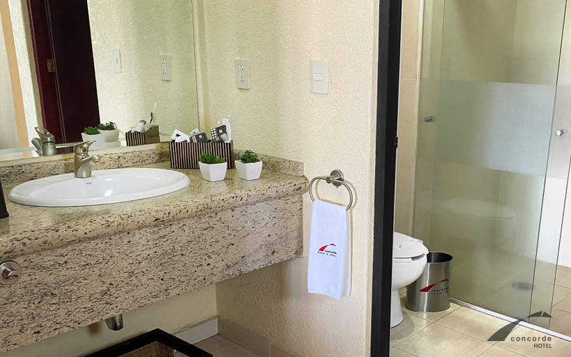 Bathroom 4, Hotel Concorde Toluca, Otzolotepec