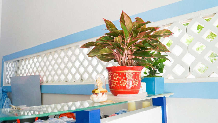 Others 1, Hoan Hi Journeys Homestay, Phan Thiết