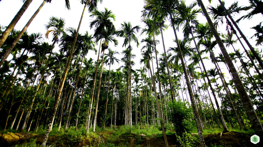 Others 4, Hiliya Resort - Hostel, Wayanad