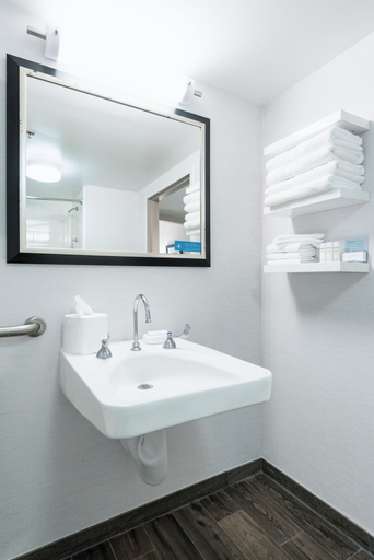 Bathroom 4, Hampton Inn Brooksville Dade, Hernando