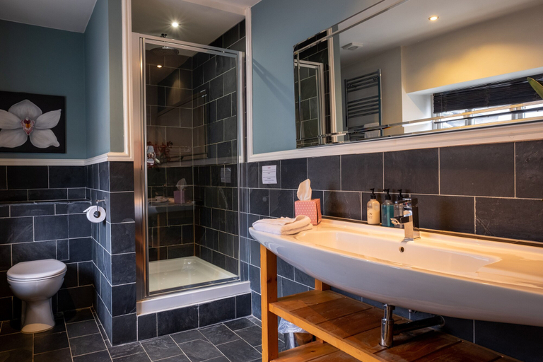 Bathroom 3, The Red Lion, Devon