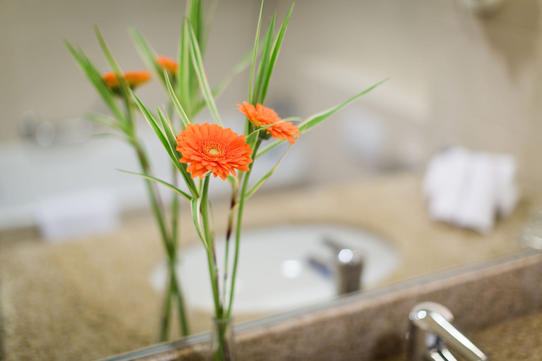 Bathroom 5, Courtyard by Marriott Brussels, Bruxelles