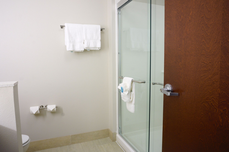 Bedroom 4, Holiday Inn Express & Suites OMAHA - MILLARD AREA, Douglas