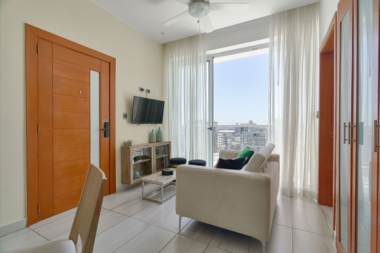 Others 4, N1401 Espectacular vista Downtown Santo Domingo RD, Distrito Nacional