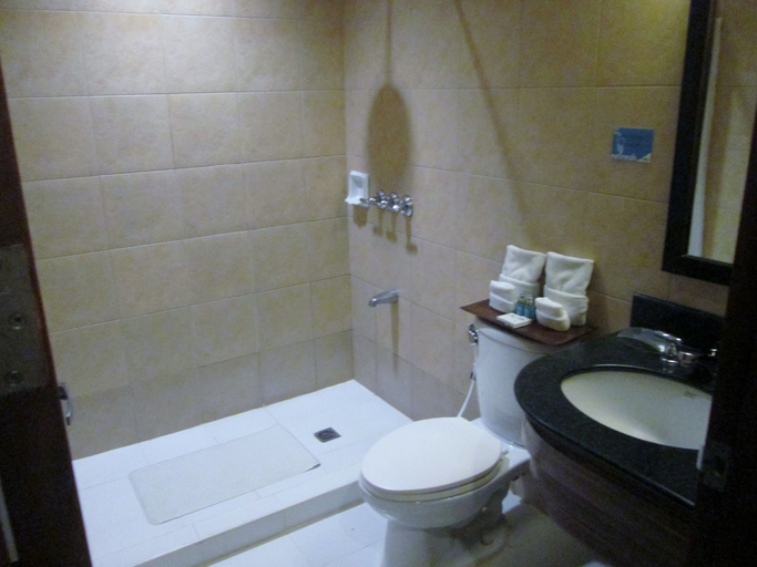 Bathroom 5, Microtel by Wyndham Boracay, Malay