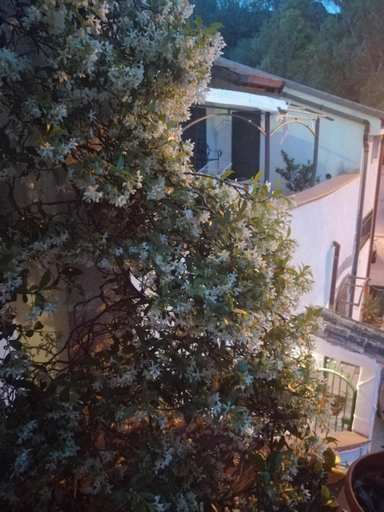 Exterior & Views 2, B&B Moscani, Salerno
