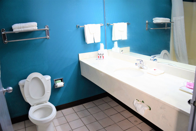 Bathroom 4, Days Inn by Wyndham Montgomery, Montgomery