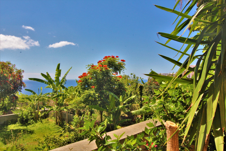 Others 4, Apartment With Very Big Garden Near Beach, Santa Cruz