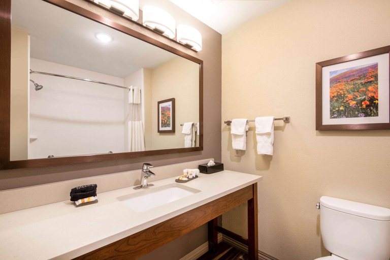 Bathroom 4, La Quinta Inn & Suites by Wyndham Durango, La Plata