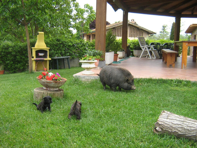 Others 5, IL Poggio, Pisa