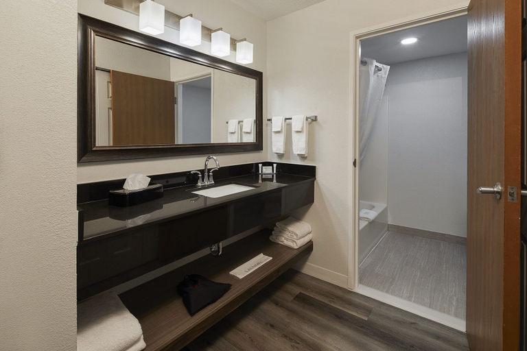 Bathroom 4, Hotel Wave Rehoboth Beach, Sussex
