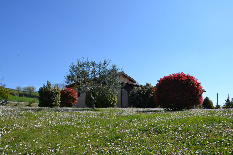 Exterior & Views 2, Agriturismo Villa Rosetta, Macerata
