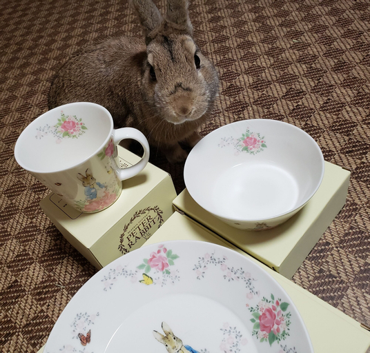 Food & Drinks 5, Guesthouse Kazenoie Bonita - Caters to Women, Sennan
