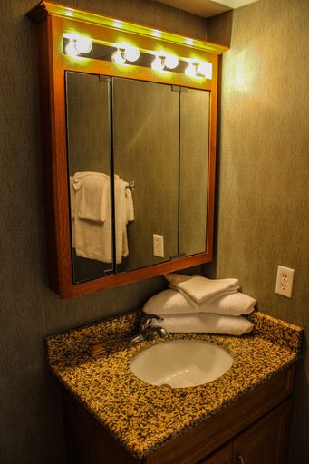 Bathroom 5, Discovery Beach Resort, Brevard