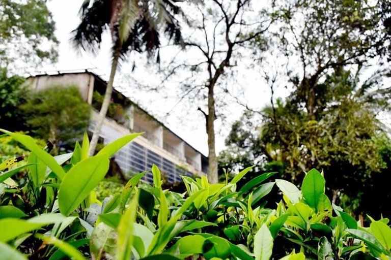 Exterior & Views 2, Ratnaloka Tour Inn, Ratnapura