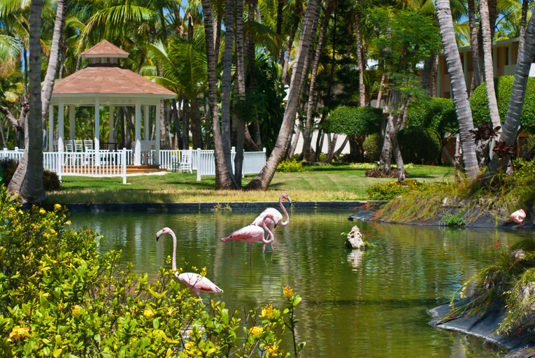 Exterior & Views 2, Catalonia Punta Cana - All Inclusive, Salvaleon de Higuey