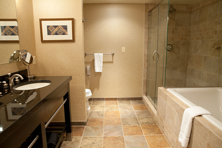 Bathroom 3, Craddock Terry Hotel, Lynchburg, a Tribute Portfolio Hotel, Lynchburg