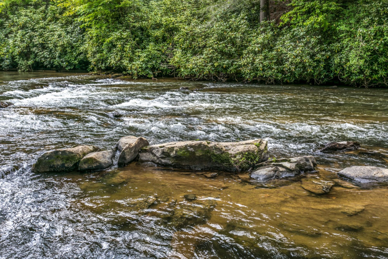 Others 5, Trinity Waters, Fannin