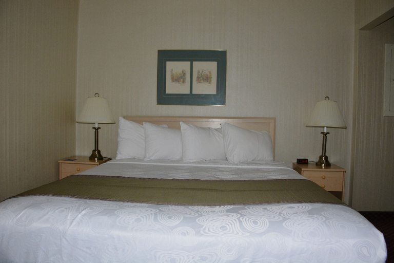 Bedroom 3, Travelodge by Wyndham Lethbridge, Division No. 2