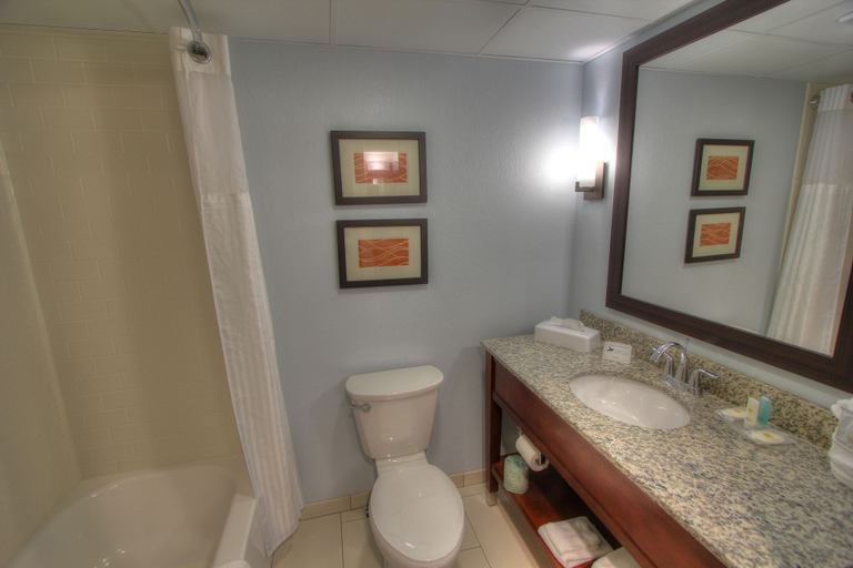 Bathroom 5, The Inn at Apple Valley, an Ascend Collection Hotel, Sevier