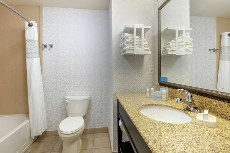 Bathroom 4, Hampton Inn Alamosa, CO, Alamosa