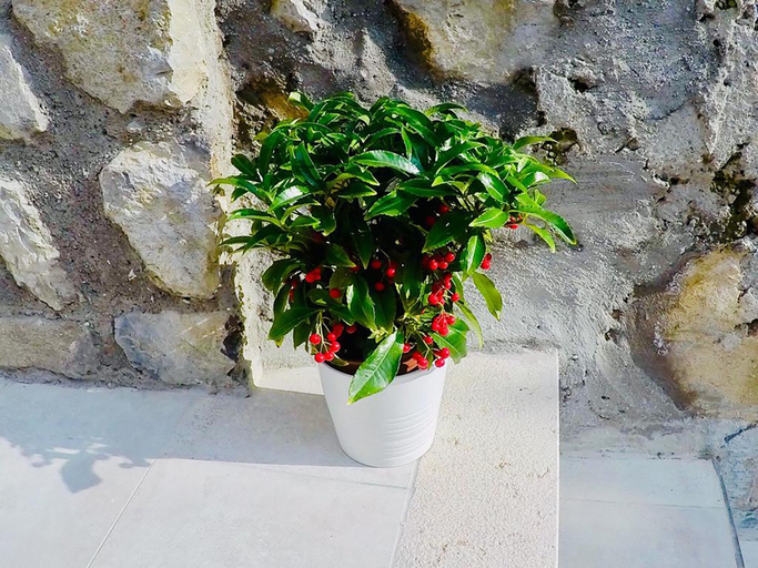 Others 4, Casa Cristallo, Salerno